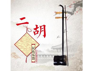 招聘长沙二胡家教老师